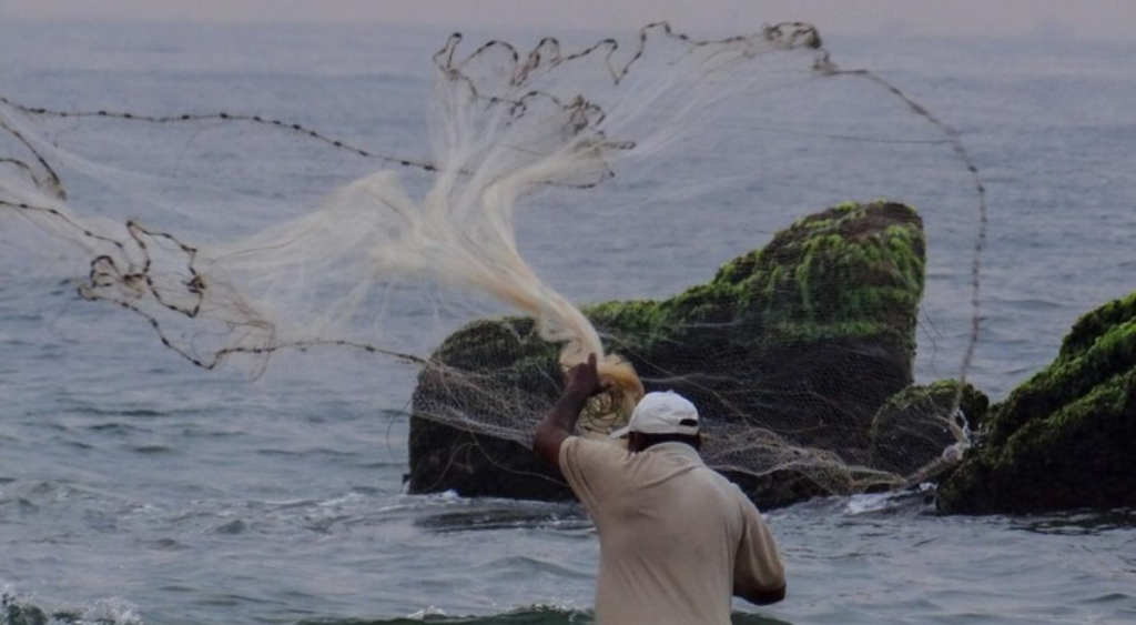 Fishing Thunderonthegulf: The Ultimate Beginner's Guide to a Thrilling Coastal Adventure(2025) 3 fishing thunderonthegulf.