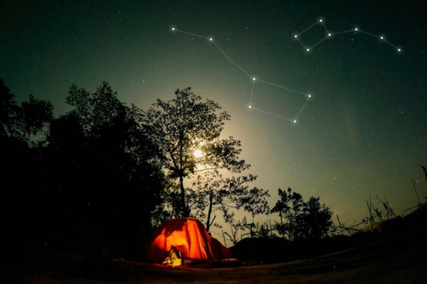 starhoonga